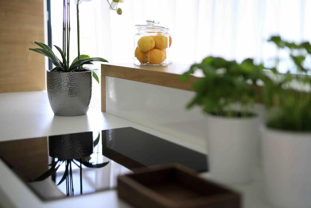 Apartman Anna 扎达尔 外观 照片